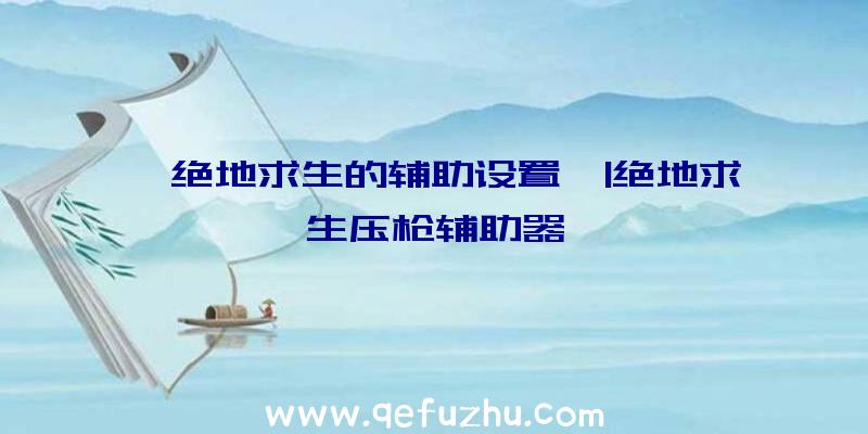 「绝地求生的辅助设置」|绝地求生压枪辅助器